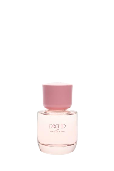 Zara Orchid 50ml