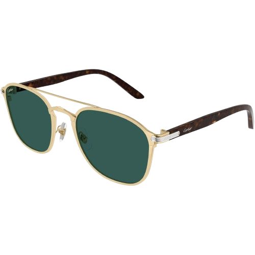 Cartier CT0012S Double-Bridge Rectangular Sunglasses