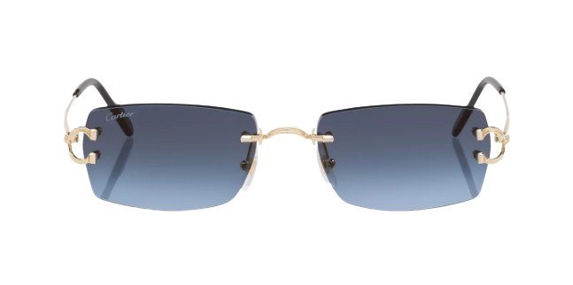 Cartier CT0550S Rectangle-Frame Metal Sunglasses