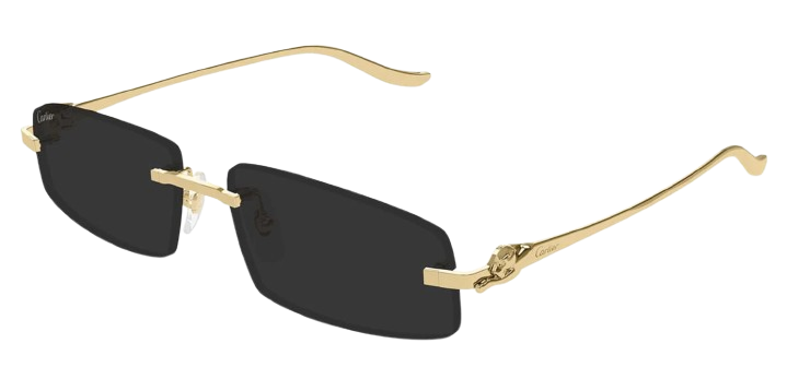 Cartier Panthere CT0505S