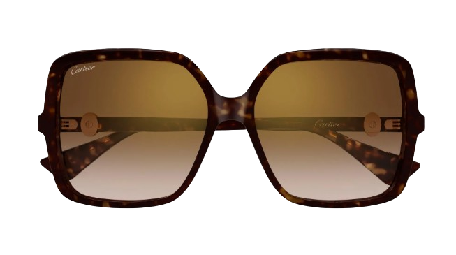 Cartier Eyewear oversized sunglasses CT0641S002