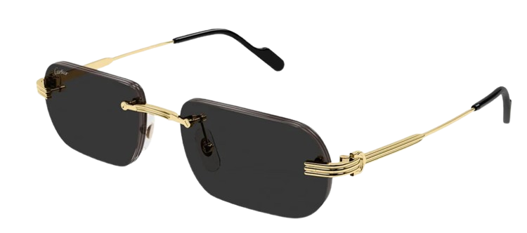 Cartier Sunglasses CT0577S 001