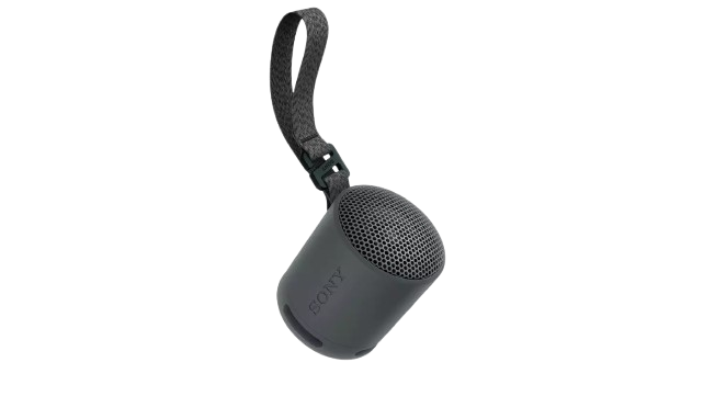 Sony SRS-XB100 Bluetooth Portable Speaker - Black