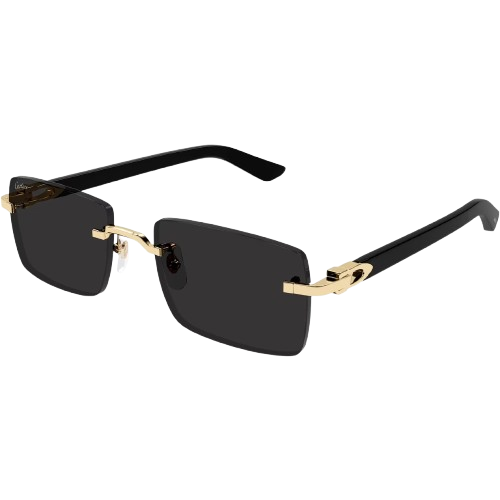 Cartier Men's Rectangle Sunglasses