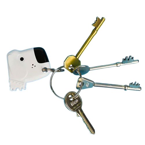 Fetch My Keys - Dog Themed Key Finder