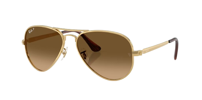Ray-Ban Aviator Max
