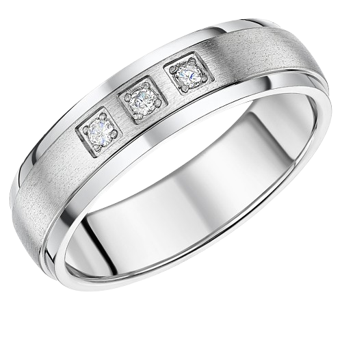 Elma Jewellery 6mm Men's Titanium Diamond Ring Matt & Polished