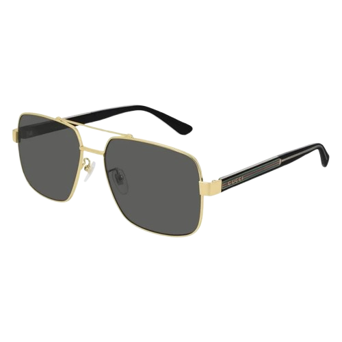Gucci GG0529S 001