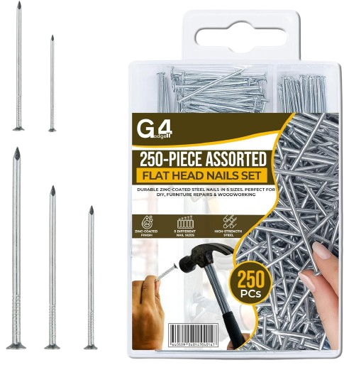 G4GADGET 250-Piece Assorted Flat Head Nails