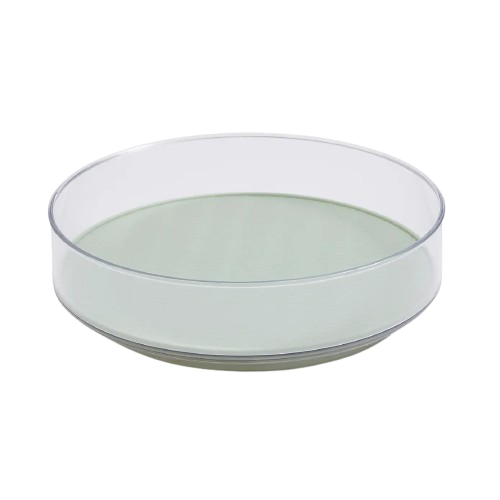 8 Inch Turn Table with Mat