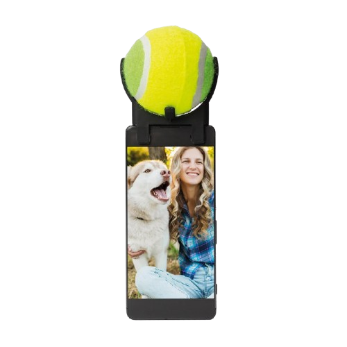 #winning Dog Selfie Tool